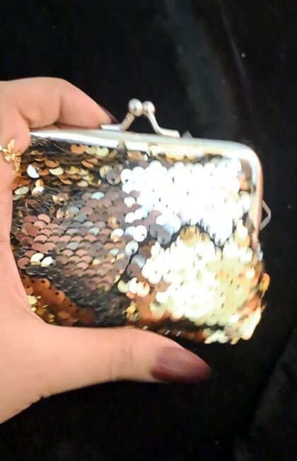 Small Fancy kisslock clutch/ Batvi
